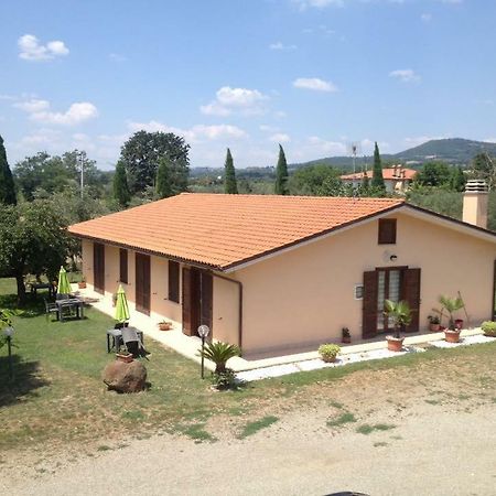 Agriturismo La Piantata 볼세나 외부 사진